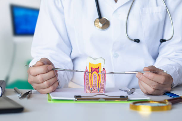 Best Emergency Gum Treatment in Revere, MA